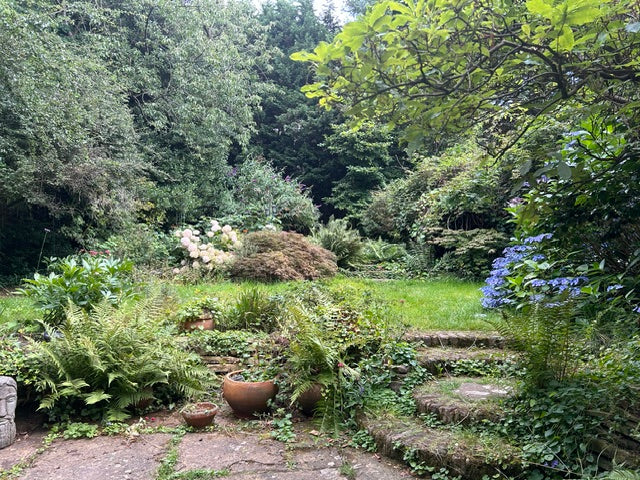 Linda's garden
